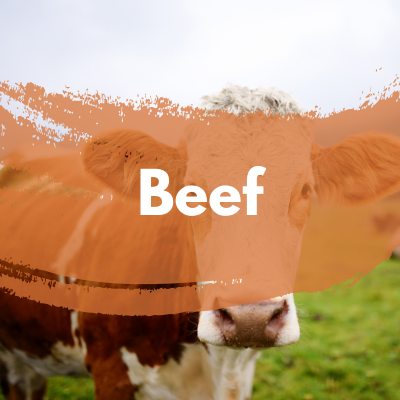 Beef Button Square