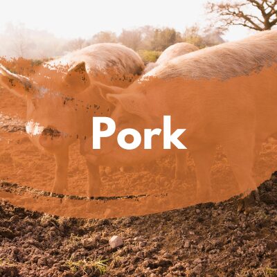 Pork Button Square